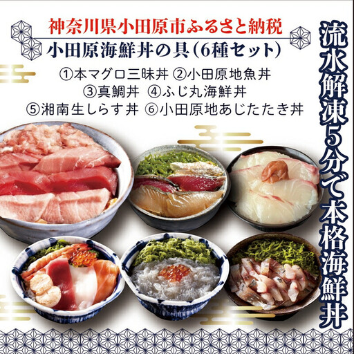 [高級食材本マグロ、曽我の梅干し、小田原地あじ、小田原港直送地魚丼、大磯港直送、湘南生しらす]小田原海鮮丼の具(6種セット)[本まぐろ丼 小田原地魚丼 小田原地あじたたき丼 国産活〆真鯛入り酒仕込み 神奈川県 小田原市 ]