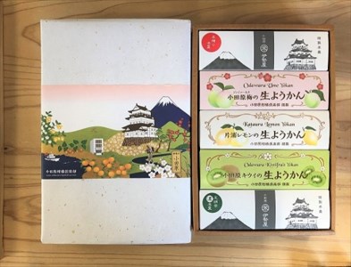 小田原老舗和菓子店の手づくりようかん5本セット[ お菓子 スイーツ 神奈川県 小田原市 ]