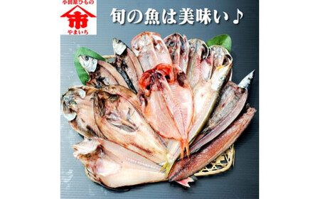 おまかせ干物セット 3倍セット[惣菜 魚 干物 ひもの お取り寄せ 御中元 お中元 お歳暮 父の日 母の日 贈り物 家庭用 自宅用 贈答品 贈答用 ギフト 定番 神奈川県 小田原市 ひもの ひもの ひもの ひもの ひもの]