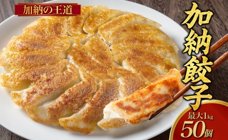 [加納の王道]餃子 冷凍生餃子 50個 生餃子 冷凍餃子 ギョーザ おかず 総菜 おつまみ つまみ ごはんのお供 中華 家庭用 お取り寄せ まとめ買い 大容量 冷凍食品 焼き餃子 冷凍 神奈川 神奈川県 茅ヶ崎市