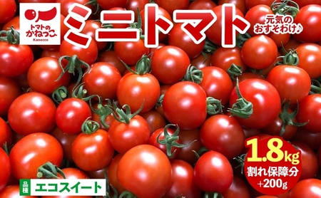 美味しさで笑おっ!トマトで笑おっ! エコスイート 1.8kg+200g 割れ保障 トマト とまと 夏野菜 旬 完熟 甘い プチトマト 採れたて 新鮮 産地直送 お取り寄せ 濃厚 トマトのかねっこ 神奈川県 茅ケ崎市