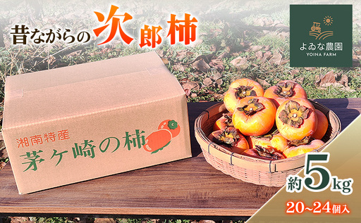 茅ヶ崎市 昔ながらの次郎柿 約5kg (20〜24個入り) よゐな農園 柿 かき カキ 次郎柿 果物 くだもの フルーツ 神奈川県 茅ヶ崎市