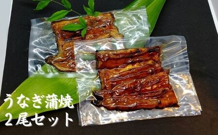 [三河産 鰻]うなぎ蒲焼セット2尾(活魚1本200g×2)