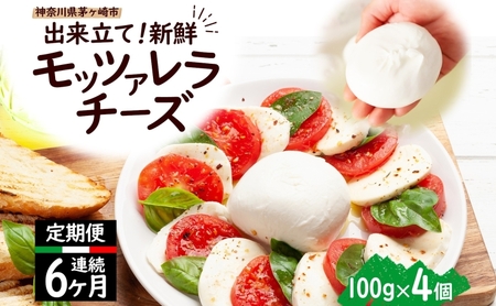 6ヶ月定期便 出来立て新鮮 モッツァレラチーズ100g × 4個セット 茅ケ崎産 加工食品 乳製品 チーズ 出来立て 神奈川県産 モッツァレラ 手作り Osteria e Bottega S 神奈川県 湘南 茅ケ崎 フレッシュチーズ おつまみ ピザ