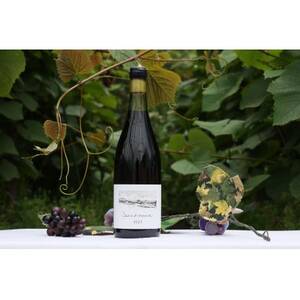 相澤ワイナリー sachirera2023 (赤ワイン)_酒・アルコール 赤ワイン ワイン _[配送不可地域:離島]