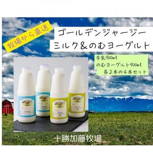 ジャージーゴールデンミルク&のむヨーグルトセット (900ml×各2本)_卵・乳製品 ヨーグルト 卵・乳製品 牛乳 ミルク みるく_[配送不可地域:離島]