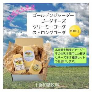 ゴールデンジャージー ゴーダ&クリーミーゴーダ&ストロングゴーダ 各100g[配送不可地域:離島]