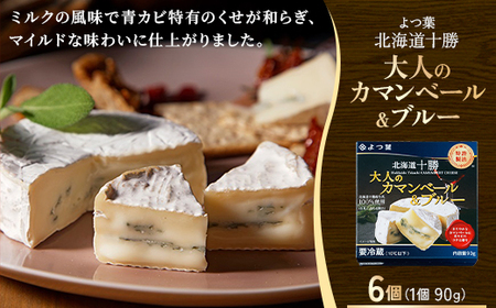 よつ葉 北海道十勝 大人のカマンベール&ブルー 90g×6個[配送不可地域:離島]