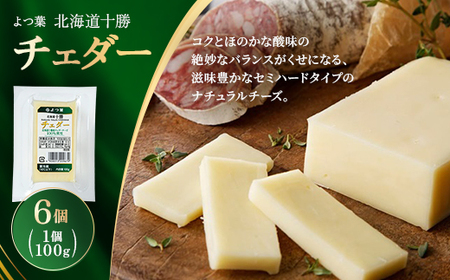 よつ葉 北海道十勝 チェダー 100g×6個[配送不可地域:離島]