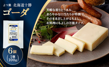 よつ葉 北海道十勝 ゴーダ 100g×6個[配送不可地域:離島]