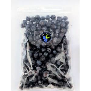 [令和8年8月以降出荷][北海道十勝産 希少品種]冷凍ブルーベリー500g×1袋[配送不可地域:離島]