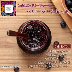 ベリージャムセット全5種 各70g