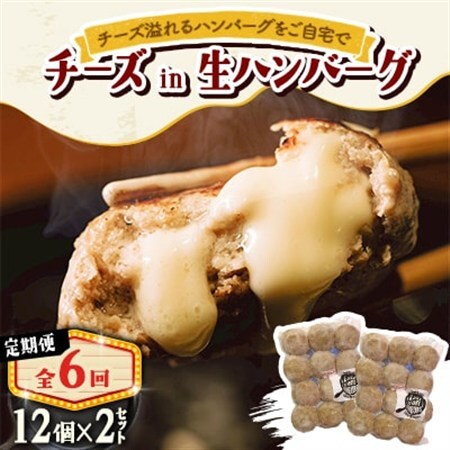 【毎月定期便】チーズ in ハンバーグ　生(12個入) 2セット全6回【配送不可地域：離島】【4080186】