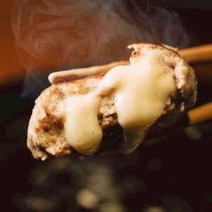 [毎月定期便]チーズ in ハンバーグ グリル 4個入(玉ねぎソース)2セット全6回[配送不可地域:離島]