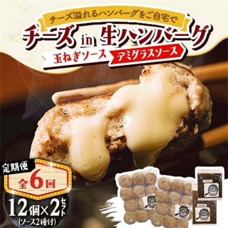 【毎月定期便】チーズハンバーグ(生)12個×2　玉ねぎソース150g、デミグラスソース250g全6回【配送不可地域：離島】【4080194】
