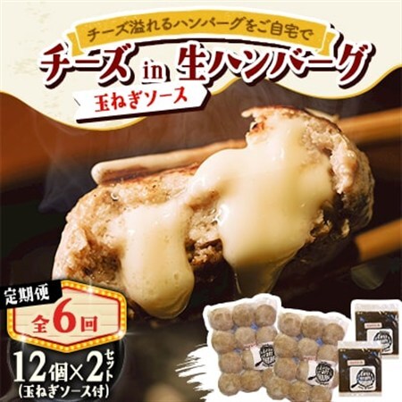 【毎月定期便】チーズ in ハンバーグ(生)12個(玉ねぎソース150g) 2セット全6回【配送不可地域：離島】【4080198】