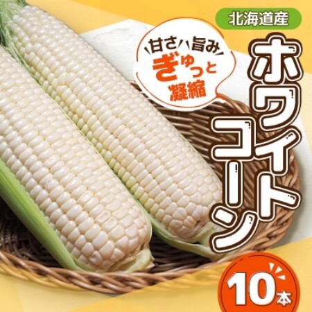 [先行受付]甘さ旨みぎゅっと凝縮ホワイトコーン 10本[配送不可地域:離島]