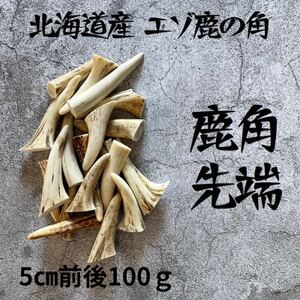 鹿の角 枝先5cm前後100gセット 北海道産 アクセサリー クラフト材_雑貨 _