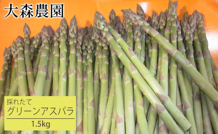 北海道 仁木町産 グリーンアスパラ 1.5kg [大森農園]アスパラ 新鮮 野菜