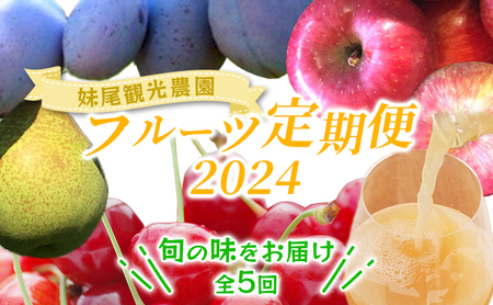 妹尾農園のフルーツ定期便2024[全5回] 北海道 仁木 さくらんぼ プルーン 梨 りんご