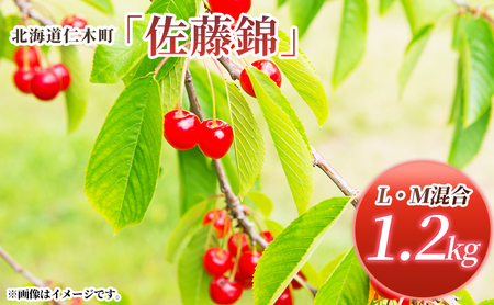 北海道 仁木町産 さくらんぼ 佐藤錦 1.2kg (300g×4パック)  L-Mサイズ 混合　旬 桜桃 産地直送 サクランボ チェリー フルーツ 果物 果物類 ギフト 仁木町 仁木 [松山商店]