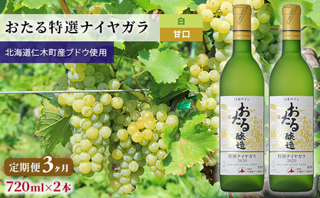 [3ヵ月定期便]白ワイン720ml×2本「おたる特選ナイヤガラ」(白/甘口)GI北海道認定ワイン 北のハイグレード食品 北海道 仁木町[JA新おたる][ ブドウ ぶどう グレープ お酒 ワイン 赤 甘口 フルーツ ]