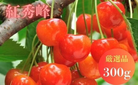 北海道 仁木町産 サクランボ 紅秀峰 300g 厳選品 松山商店