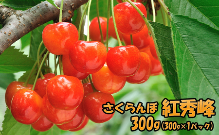 [先行受付] 北海道 仁木町産 さくらんぼ 紅秀峰 300g(300g×1パック)果物類 くだもの フルーツ サクランボ チェリー [JA新おたる]