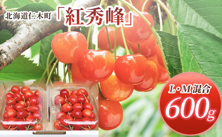 [先行受付] 北海道 仁木町産 サクランボ 紅秀峰 600g L-Mサイズ 松山商店　L・M混合 300g×2パック さくらんぼ 旬 果物 くだもの 果実 フルーツ 桜桃 チェリー 産地直送