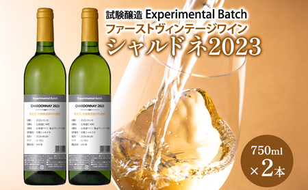 シャルドネ2023 試験醸(Experimental Batch) ファーストヴィンテージワイン 2本 JA新おたる ワイン 白ワイン 酒 アルコール