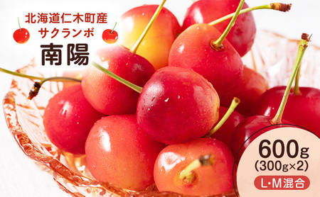 [先行受付] 北海道 仁木町産 サクランボ 南陽 600g (300g×2) L・M混合 果物類 果物 くだもの フルーツ さくらんぼ チェリー 旬の果物 [UMIX FARM]