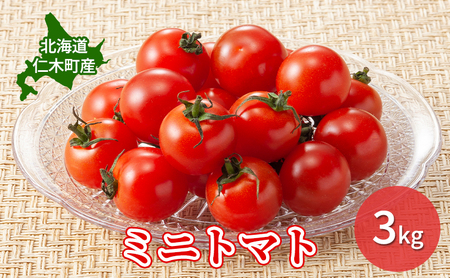 [先行受付]北海道 仁木町産 ミニトマト 3kg 小林農園 [ トマト 北海道産 野菜 新鮮 ]
