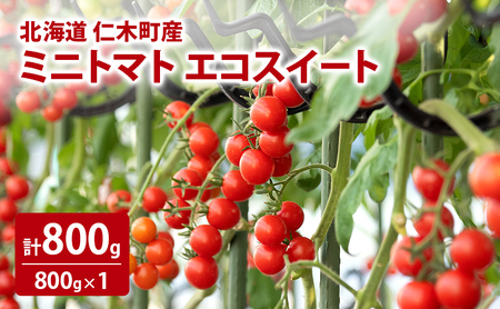 北海道 仁木町産 ミニトマト エコスイート 800g [林果樹園][トマト ミニトマト エコスイート 高糖度 フルーツトマト 赤 サラダ パスタ スープ 常備菜 産地直送 旬 健康 リコピン ビタミンC 美容]