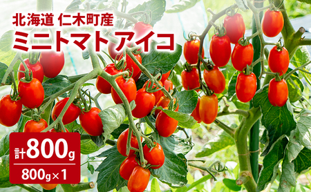 北海道 仁木町産 ミニトマト アイコ 800g [林果樹園][トマト ミニトマト アイコ 高糖度 フルーツトマト 赤 サラダ パスタ スープ 常備菜 産地直送 旬 健康 リコピン ビタミンC 美容 ダイエット]