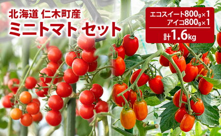 北海道 仁木町産 ミニトマト エコスイート800g・アイコ800g セット [林果樹園][トマト ミニトマト エコスイート アイコ 高糖度 フルーツトマト 赤 サラダ パスタ スープ 常備菜 産地直送 旬 健康]