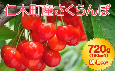 北海道 仁木町産 7月旬 さくらんぼ 720g (180g×4) M・Lサイズ サクランボ チェリー フルーツ 果物 果物類 仁木町 仁木 [JA新おたる]