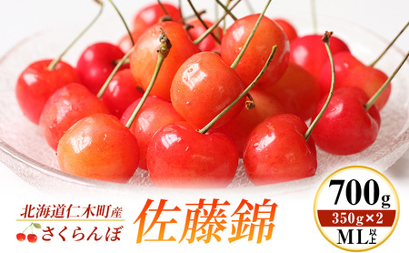 先行受付 北海道 仁木町産 さくらんぼ 佐藤錦 700g (350g×2) ML以上 旬の果物 サクランボ チェリー フルーツ 果物 果物類 仁木町 仁木 [伊賀農園]