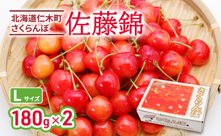 先行受付 北海道 仁木町産 さくらんぼ 佐藤錦 180g×2P Lサイズ サクランボ チェリー フルーツ 果物 果物類 仁木町 仁木 [林果樹園]