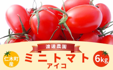 北海道仁木町産ミニトマト【アイコ】1kg×6箱