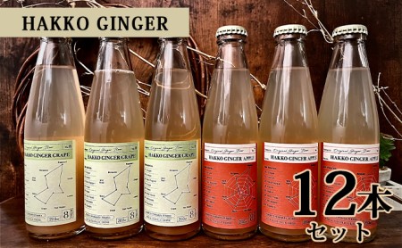 仁木産アップルとグレープを使ったジンジャービア HAKKO GINGER 200ml×12本セット 炭酸飲料 飲料類 果汁飲料 りんご ジュース 野菜飲料 ぶどうジュース ブドウ [株式会社デリシャスフロム北海道]