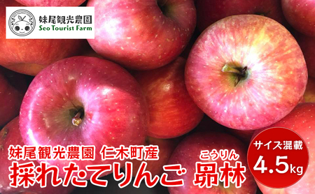 [先行受付/2024年10月出荷開始]仁木町の採れたてりんご「昴林(こうりん)」4.5kg[妹尾観光農園] 北海道 果物 フルーツ リンゴ