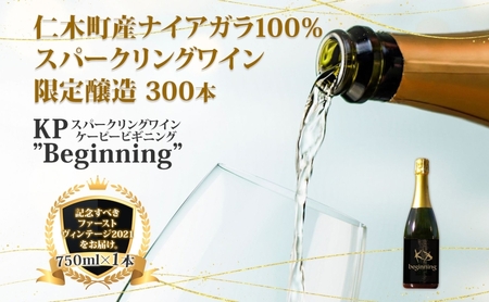[北海道産ワイン] 限定スパークリングワイン KP"Beginning" 750ml×1本 仁木町産ナイアガラ100%使用 ワイン 白 辛口 スパークリング