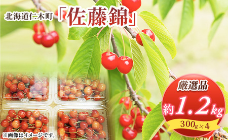 北海道 仁木町産 厳選品 さくらんぼ 佐藤錦 1.2kg (300g×4パック) Lサイズ以上　旬 桜桃 産地直送 サクランボ チェリー フルーツ 果物 果物類 ギフト 仁木町 仁木 [松山商店]