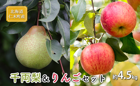 先行予約 北海道 仁木町産 千両梨&りんごセット 約4.5kg くだもの直売もり園