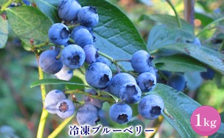 北海道 仁木町産 ブルーベリー 冷凍 1kg 仁木ファームブルーベリー