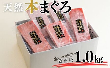 [至極の味わい]天然本まぐろ 1kg(大トロ200g、中トロ400g、赤身400g) M020-025-01