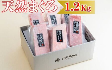 [お箸が止まらない]天然目鉢まぐろ1.2kg(大トロ400g、中トロ400g、赤身400g) M020-026-02