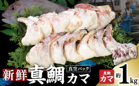 新鮮真鯛カマ(約1kg) M079-011-01 魚 冷凍