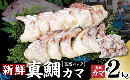 新鮮真鯛カマ（約2kg） M079-011-02 魚 冷凍