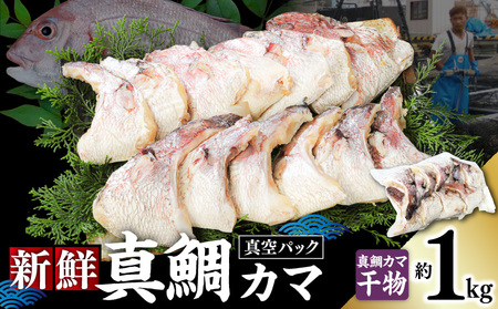 新鮮真鯛カマ干物(約1kg) M079-011-03 冷凍 加工品